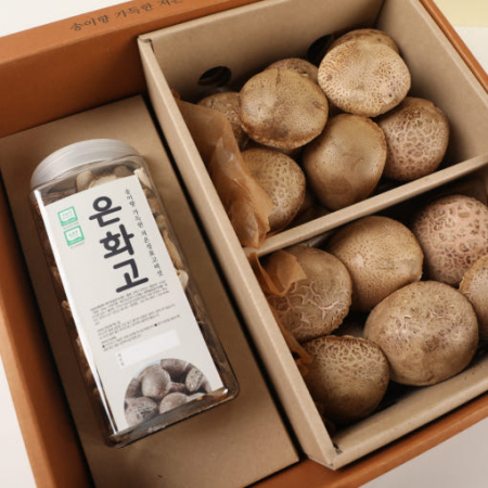도시농사꾼 은화고 B베스트세트 저온성표고버섯 은화고 700g + 건버섯 100g 선물세트