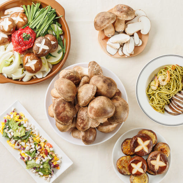 은화고 생 1kg 저온성 표고버섯 무농약 친환경 우수농산물 [당일수확]