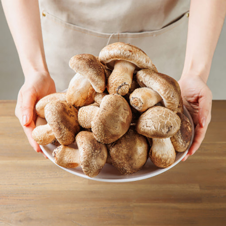 은화고 생 1kg 저온성 표고버섯 무농약 친환경 우수농산물 [당일수확]