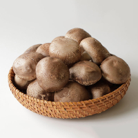 은화고 생 1kg 저온성 표고버섯 무농약 친환경 우수농산물 [당일수확]