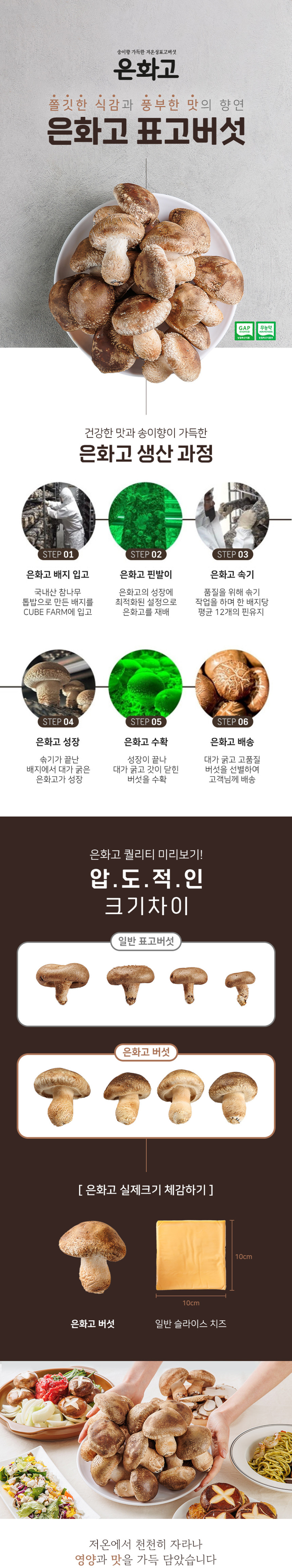 은화고 생 1kg 저온성 표고버섯 무농약 친환경 우수농산물 [당일수확]