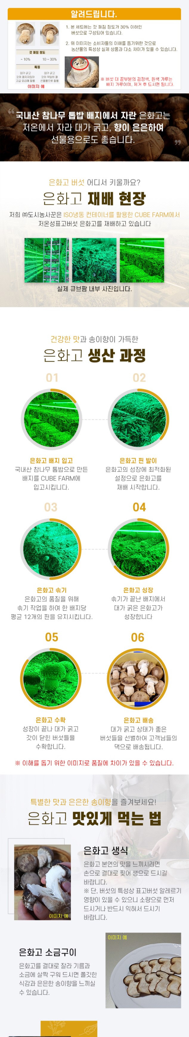 도시농사꾼 은화고 B베스트세트 저온성표고버섯 은화고 700g + 건버섯 100g 선물세트